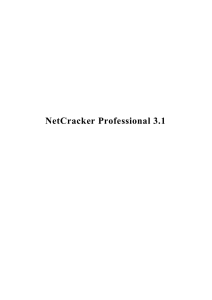 инструкция по использованию NetCracker