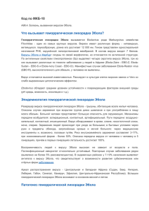 Код по МКБ-10 А98.4. Болезнь, вызванная вирусом Эбола. Что