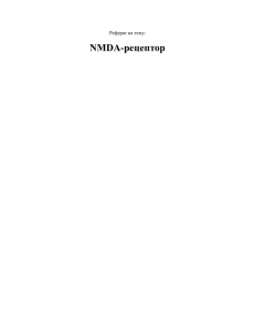 NMDA-рецептор