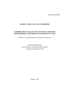 На правах рукописи ШАФИГУЛЛИНА АЙГУЛЬ КАСЫЙМОВНА ВЛИЯНИЕ ЗВЁЗДЧАТЫХ КЛЕТОК ПЕЧЕНИ НА ФЕНОТИП