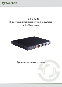 NS1024S 24 + 2 port smart switch