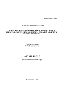 Колокольцов Андрей Алексеевич