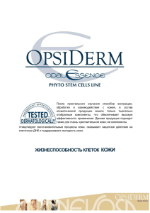 OPSIDERM STEM CELLS EN - nika