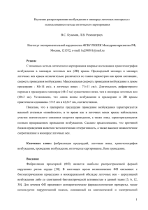 Изучение распространения возбуждения в миокарде легочных вен крысы с