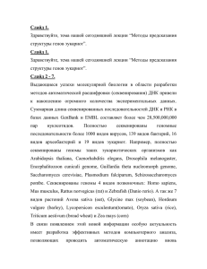 Слайд 1. Здравствуйте, тема нашей сегодняшней лекции “Методы предсказания структуры генов эукариот”.