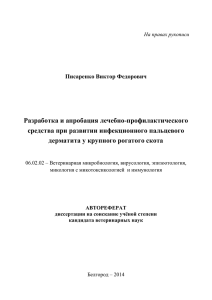 Разработка и апробация лечебно-профилактического средства при развитии инфекционного пальцевого