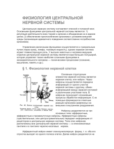 Физиология ЦНС