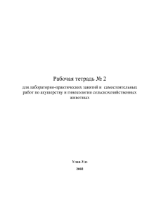 Рабочая тетрадь № 2