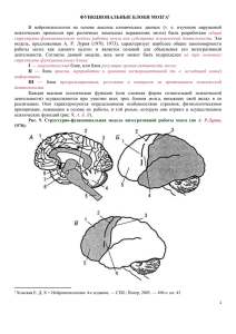 Функциональные блоки мозга (doc.)