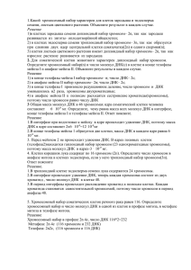 1.Какой  хромосомный набор характерен для клеток зародыша и эндосперма