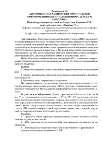 тезисы приняты - Белорусский государственный медицинский