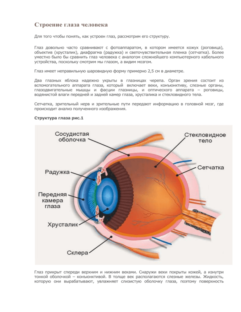 Строение глаза с обозначениями. Анатомическое строение глаза человека. Структура глаза человека схема последовательность. Строение глаза с описанием. Строение глаза человека спереди.