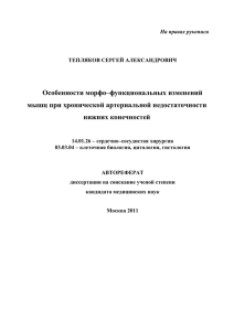 Особенности морфо–функциональных изменений мышц при хронической артериальной недостаточности нижних конечностей