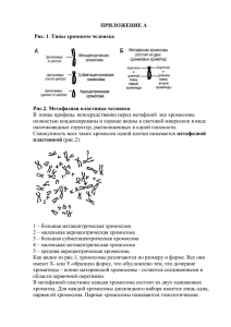 Приложения к работе