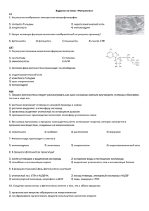 Задания по теме «Фотосинтез»