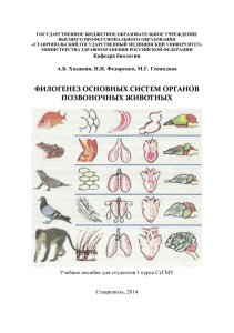 Филогенез основных систем органов позвоночных животных.