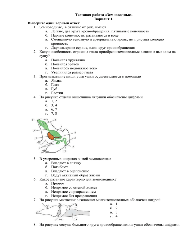 Тест рыбы 7 класс биология с ответами