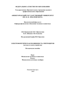 ФЕДЕРАЛЬНОЕ АГЕНСТВО ПО ОБРАЗОВАНИЮ  Государственное образовательное учреждение высшего профессионального образования