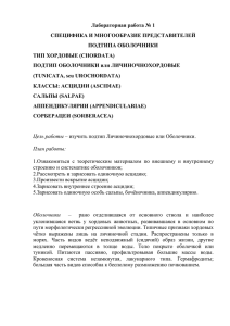 План - Костромской государственный университет им. Н. А