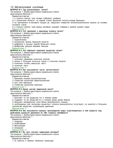 4. Мочеполовая система