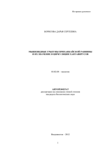 На правах рукописи БОРИСОВА ДАРЬЯ СЕРГЕЕВНА