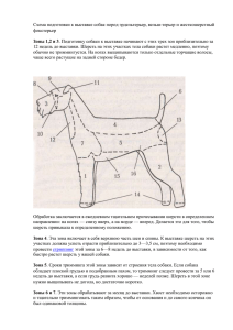Схема подготовки к выставке собак пород эрдельтерьер, вельш