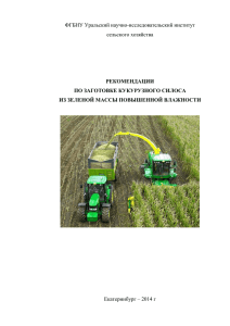 Рекомендации по заготовке кукурузного силоса из зеленой