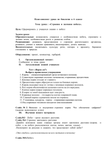 План конспект урока по биологии в 6 классе