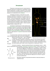 Экскреция