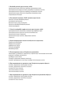 1. Bordetella pertussis представляют собой: грамположительные облигатно аэробные неподвижные кокки