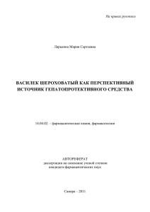 Василек шероховатый как перспективный источник