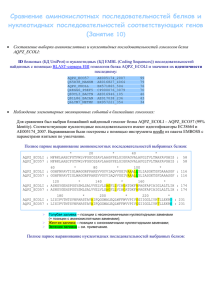 Cравнение аминокислотных последовательностей