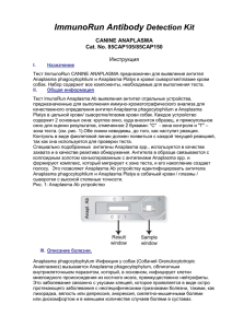 85CAP105 собаки анаплазмоз