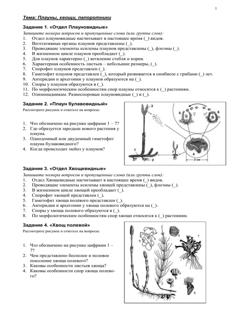 Плауны задания. Биология 7 класс тест 14 плауны, хвощи, папоротники. Тест папоротники хвощи плауны. Контрольная работа папоротники. Тест по теме папоротники.