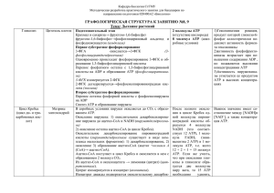 Занятие №8, 9 Тема: Дыхание растений. Вопросы для