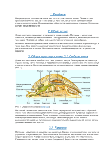 2. Образ жизни