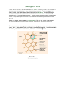 ткани эукариотx