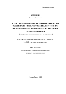 экспериментально-клиническое исследование