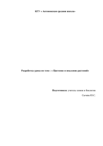 оригинальный файл 78.8 Кб