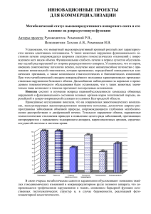 Авторы проекта