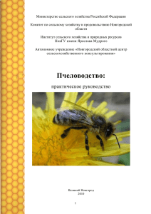 Пчеловодство: практическое руководство