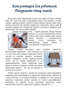 Покормите птиц зимой - romashka