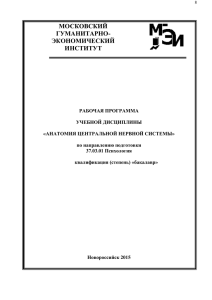 Тема 4. Строение спинного мозга