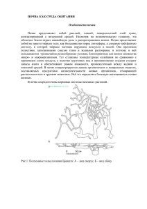 Почва как среда обитания