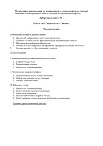 Методические рекомендации по организации изучения дисциплины (модуля) Лабораторная работа № 1
