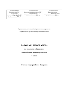 Руководитель МО Заместитель  директора  по  УВР Директор школы «Кругозор»