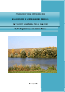 Маркетинговое исследование российского и воронежского