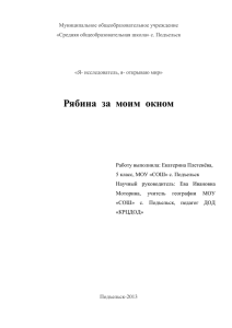 Муниципальное общеобразовательное учреждение «Средняя общеобразовательная школа» с. Подъельск