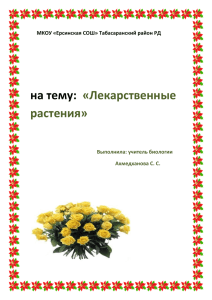 на тему: «Лекарственные растения»