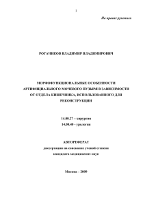 1 На правах рукописи РОГАЧИКОВ ВЛАДИМИР